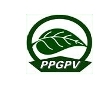 Collection logo