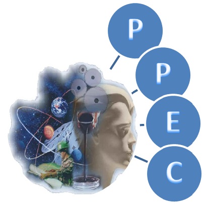 Collection logo